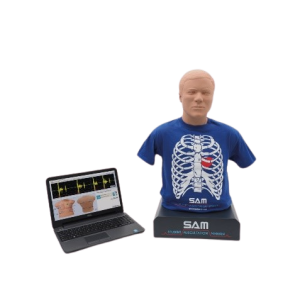 Auscultation Manikin