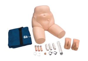 Male and Female Catheterization Simulator